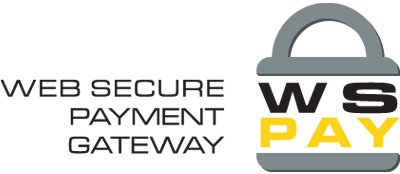 web secure logo